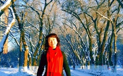 6080YY手机理论在线观看